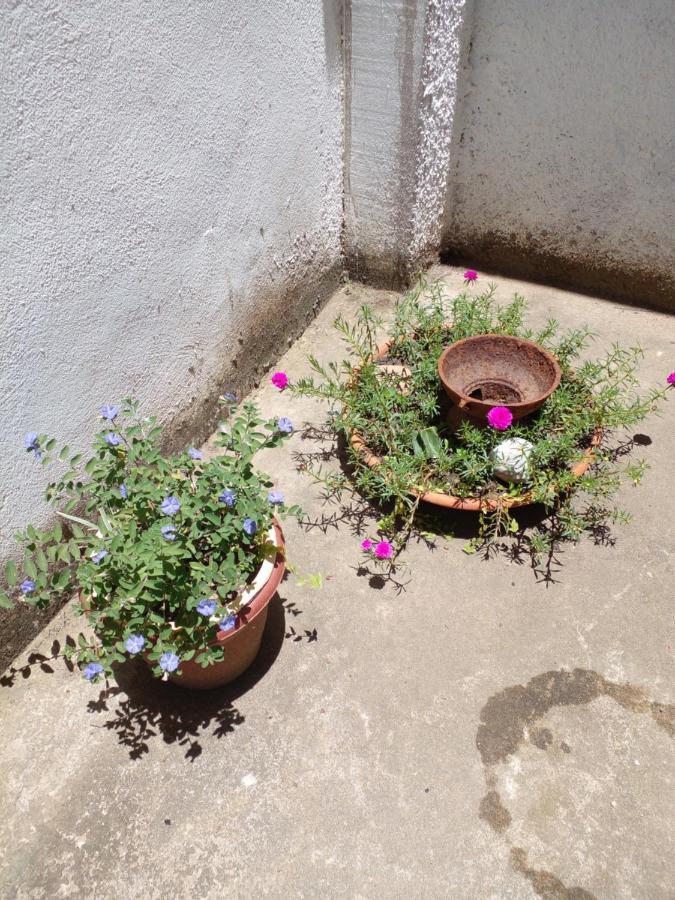 Quarto Em Casa De Condominio São Pedro da Aldeia Eksteriør billede